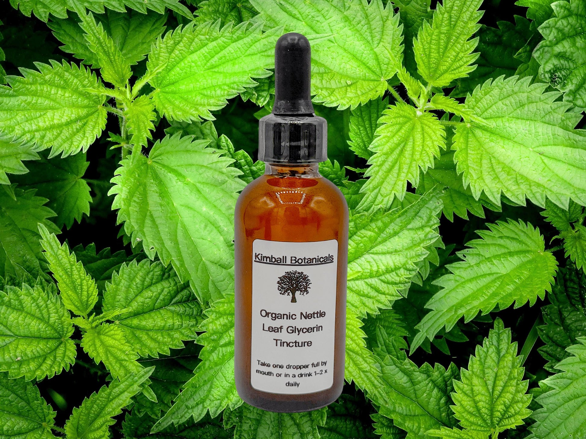 Organic Handcrafted Nettle Leaf Vegetable Glycerin Tincture (soy derived) sustainably harvested NON GMO