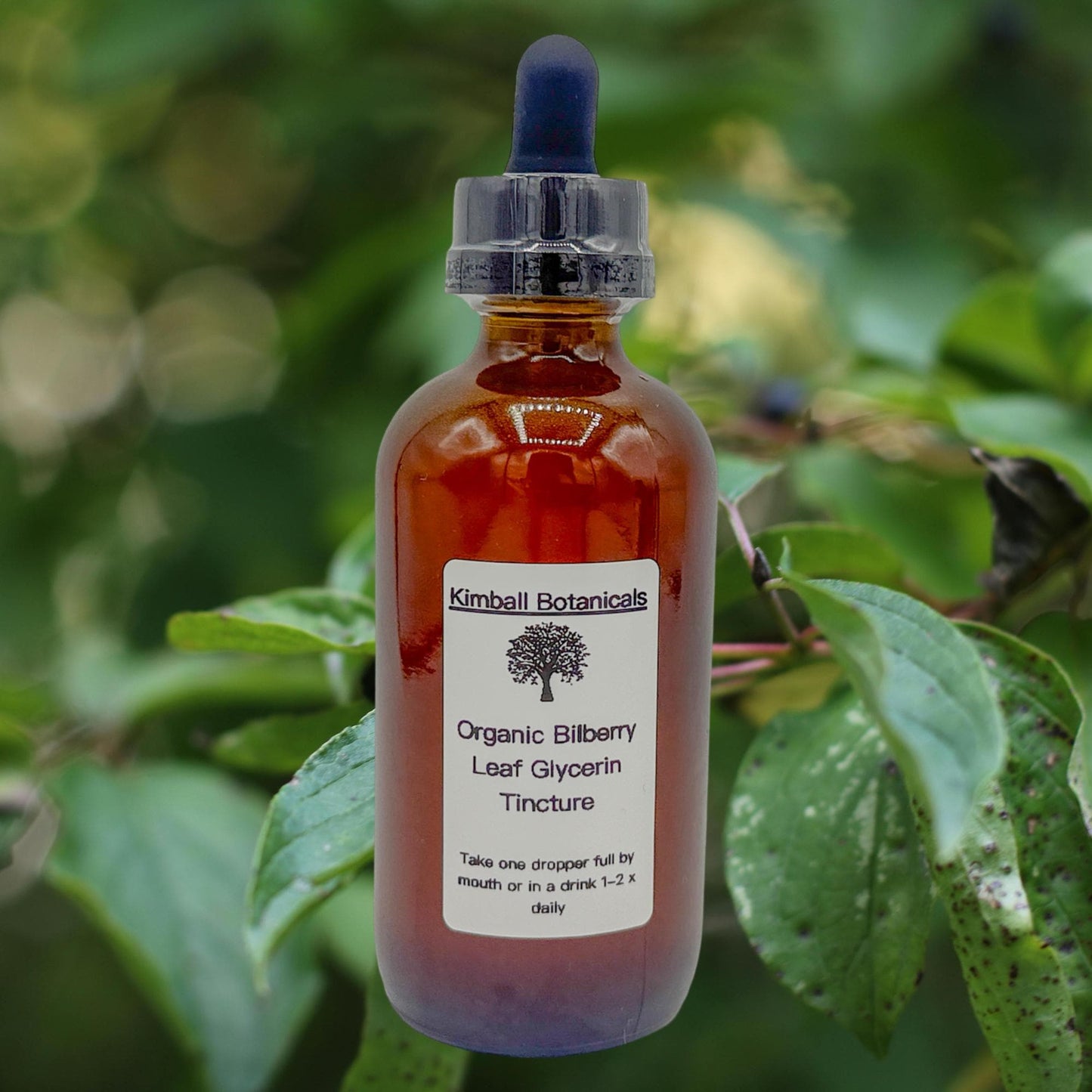 Organic Handcrafted Bilberry Leaf Vegetable Glycerin Tincture (soy derived) sustainably harvested NON GMO