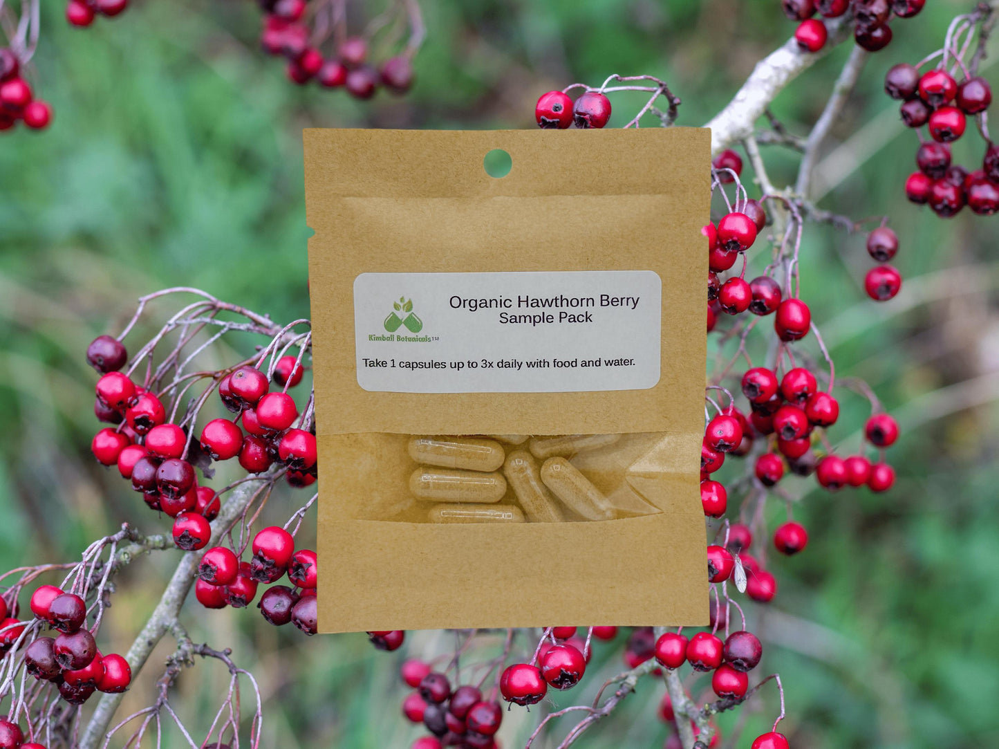 Organic Hawthorn Berry (Crataegus) 500mg and 650mg vegetarian capsules made fresh to order with zero fillers.