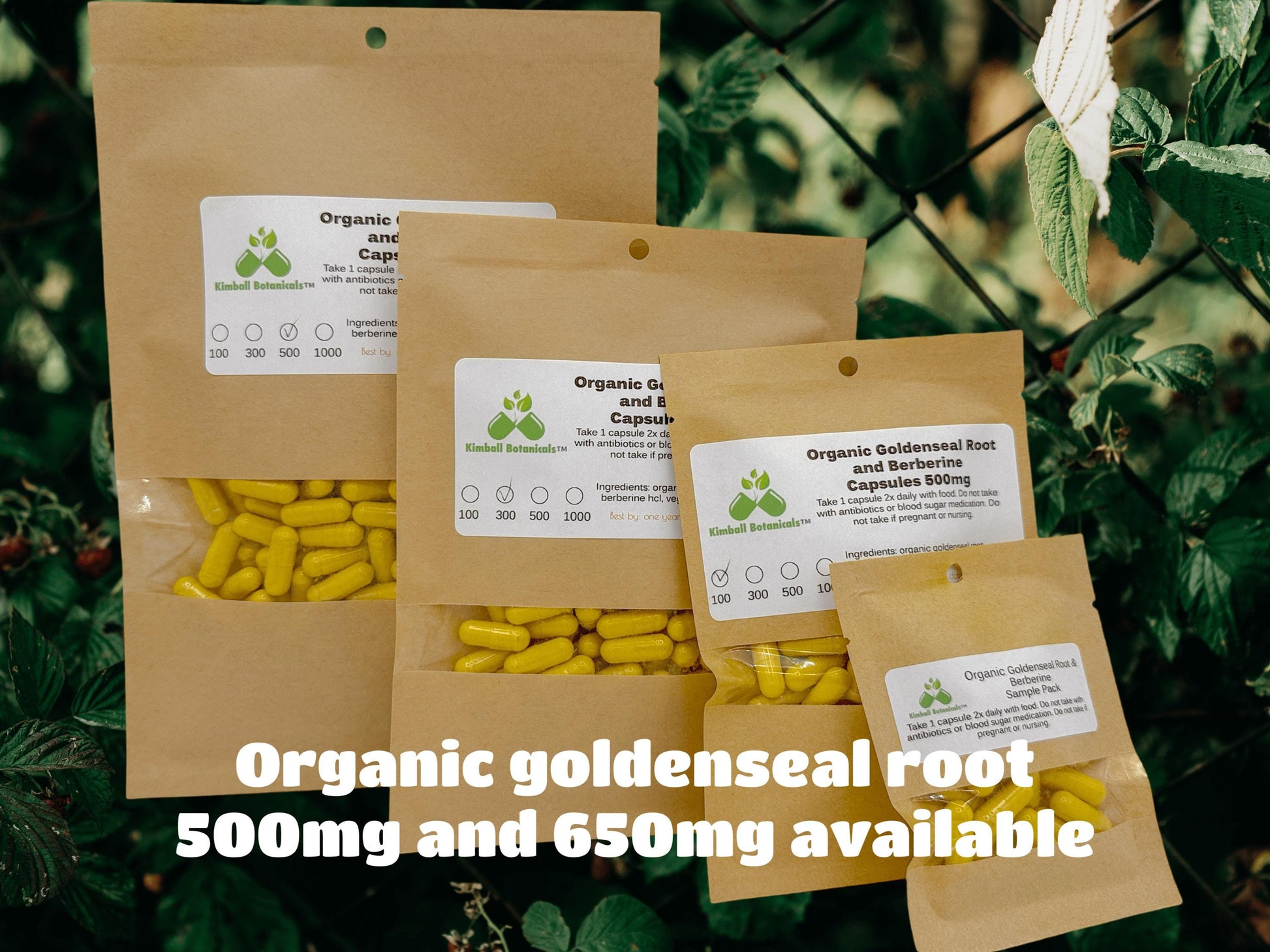 Organic Goldenseal Root and Berberine (Hydrastis canadensis) 500mg and 650mg vegetarian capsules made fresh to order