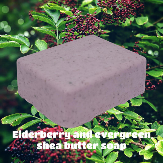 elderberry shea butter soap