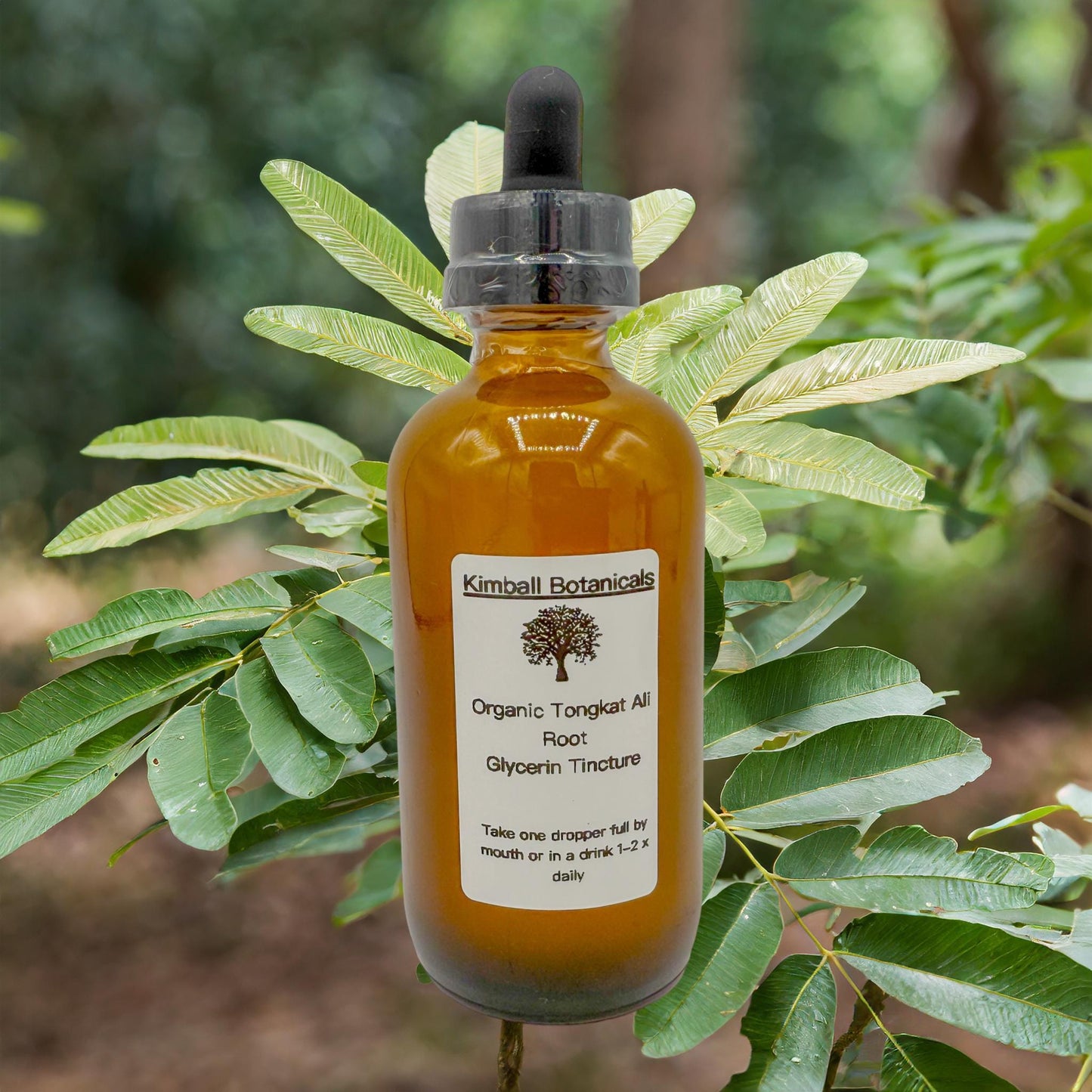 USDA Certified Organic Tongkat Ali Root Glycerin Tincture, Double Extracted