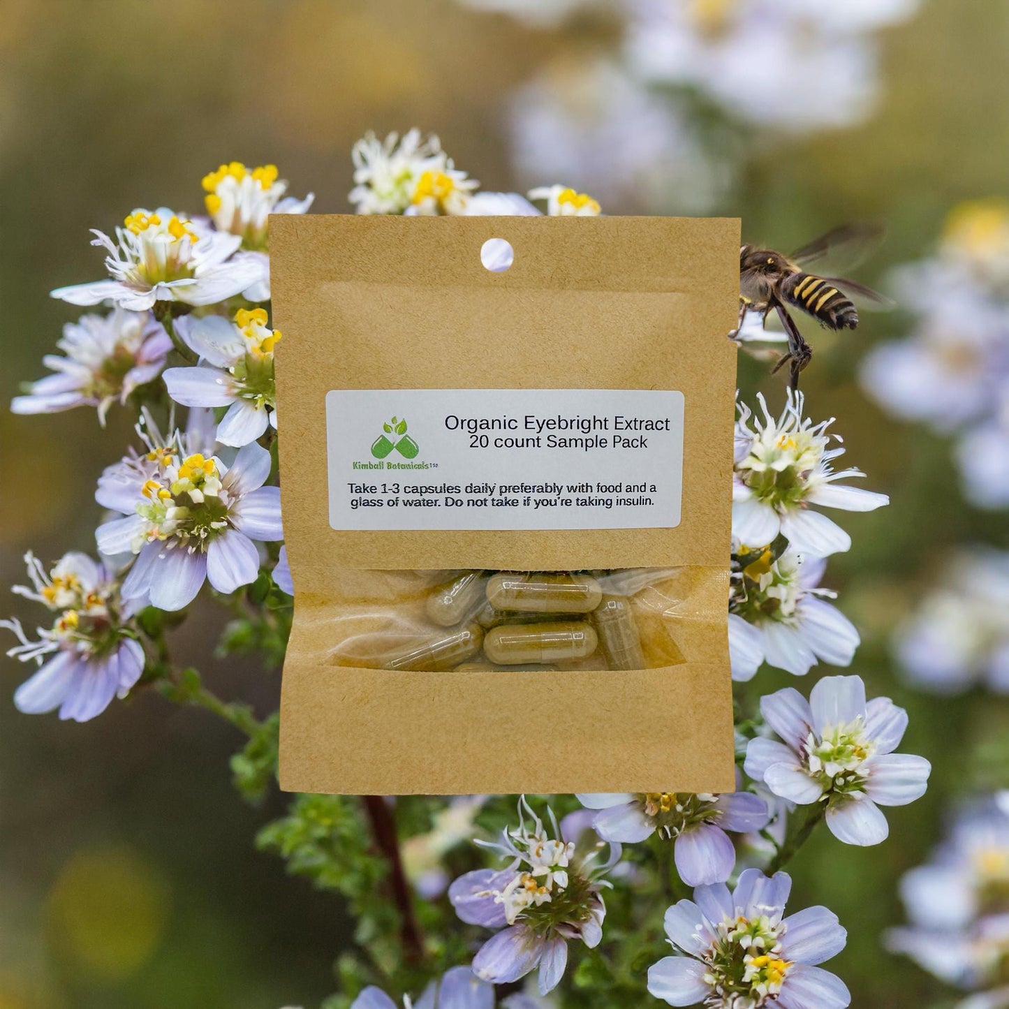 Organic Eyebright Extract (euphrasia) 500mg or 650mg vegetarian capsules, made fresh to order