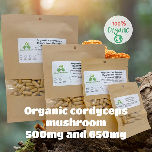 organic cordyceps mushroom capsules vegetarian 500mg and 650mg