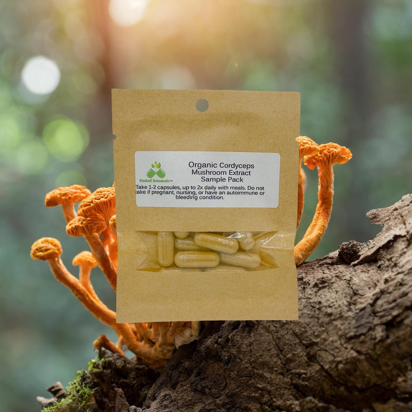 Organic Cordyceps Mushroom Extract (cordyceps sinensis) 500mg or 650mg vegetarian or pullulan capsules, made fresh to order