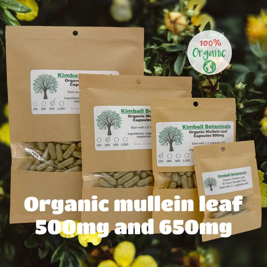 Certified Organic Mullein Leaf (verbascum) 500mg and 650mg vegetarian capsules or glycerin tincture, made fresh to order - Kimball Botanicals LLC