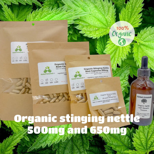 USDA Organic Stinging Nettle Root (Urtica dioica) 500mg or 650mg vegetarian capsules, or nettle leaf tincture, made fresh to order - Kimball Botanicals LLC