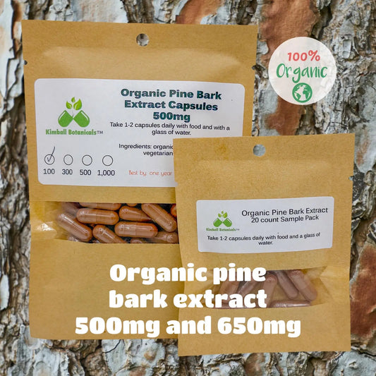 Organic Pine Bark Extract (Pinus Massoniana) 95% Proanthocyanidins 500mg and 650mg vegetarian capsules made fresh to order - Kimball Botanicals LLC