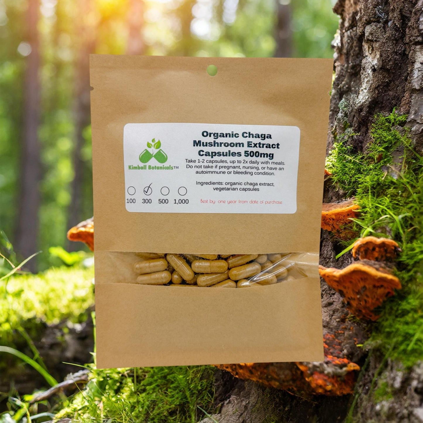 Organic Chaga Mushroom (Inonotus obliquus) Extract 500mg 50% Polysaccharides, vegetarian capsules, no fillers, made fresh to order