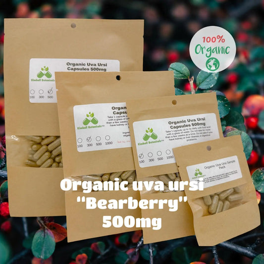 Organic Uva Ursi - Bearberry (Arctostaphylos uva-ursi) 500mg Vegetarian Capsules, Made Fresh to Order - Kimball Botanicals LLC