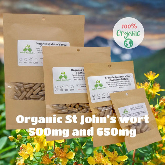 Certified Organic St. John’s Wort (Hypericum perforatum) 500mg and 650mg vegetarian or pullulan capsules or tincture, made fresh to order - Kimball Botanicals LLC