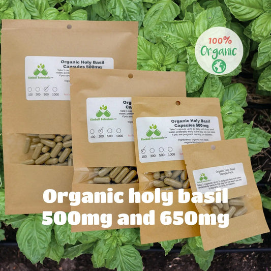 USDA Certified Organic Holy Basil (Ocimum tenuiflorum) 500mg and 650mg vegetarian or pullulan capsules, tincture, made fresh to order - Kimball Botanicals LLC