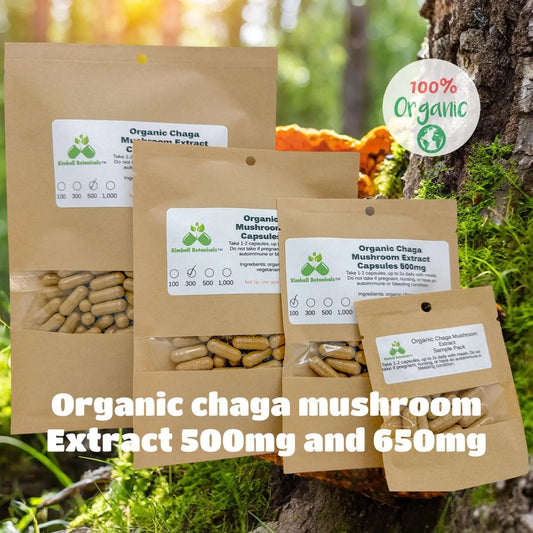 Organic Chaga Mushroom (Inonotus obliquus) Extract 500mg and 650mg, 50% Polysaccharides, vegetarian or pullulan capsules made fresh to order - Kimball Botanicals LLC