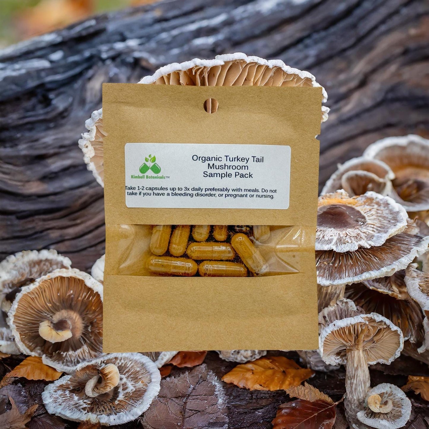 Organic Turkey Tail Extract (Trametes versicolor) Mushroom 500mg vegetarian capsules made fresh to order