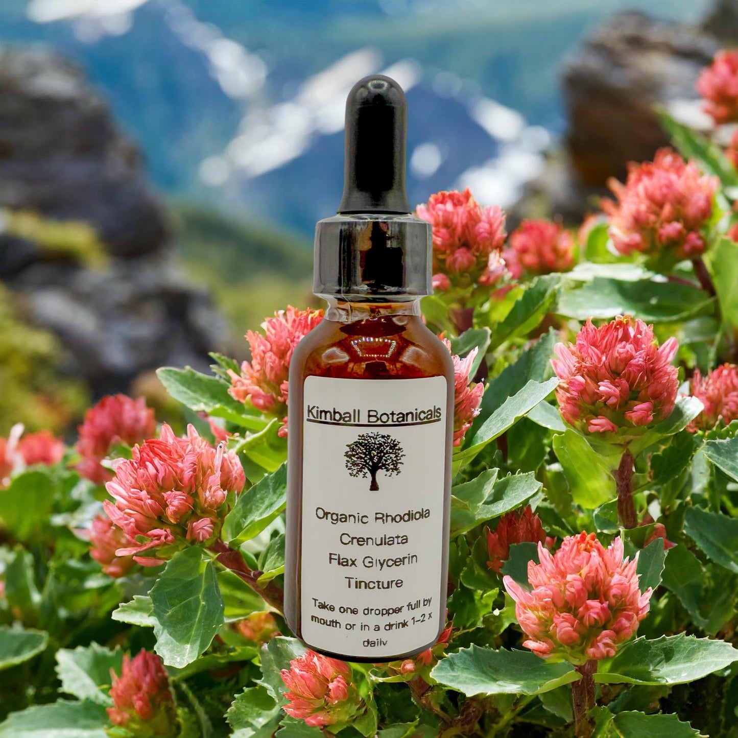 Organic Handcrafted Rhodiola Crenulata Vegetable Glycerin Tincture Double Extracted sustainably harvested