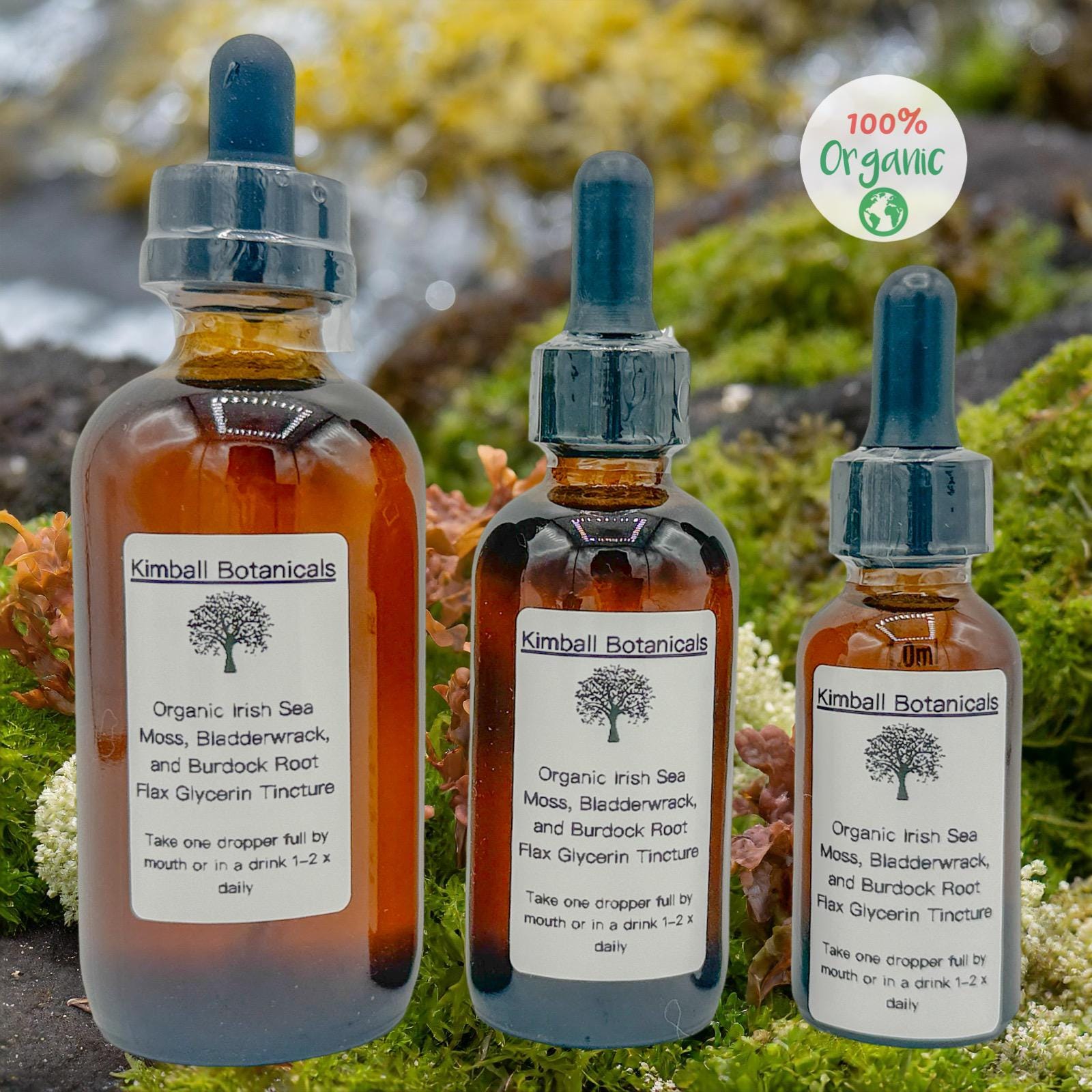 USDA Organic Irish Moss, Bladderwrack, and Burdock Root Double Extracted Glycerin Tincture sustainably harvested NON GMO