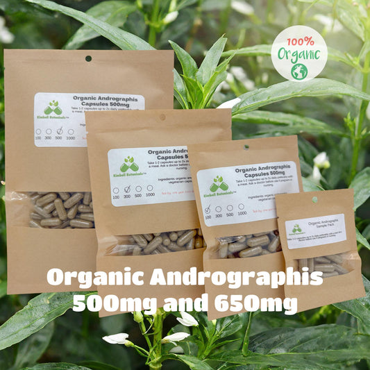 Organic Andrographis 500mg and 650mg vegetarian or pullulan capsules made fresh to order