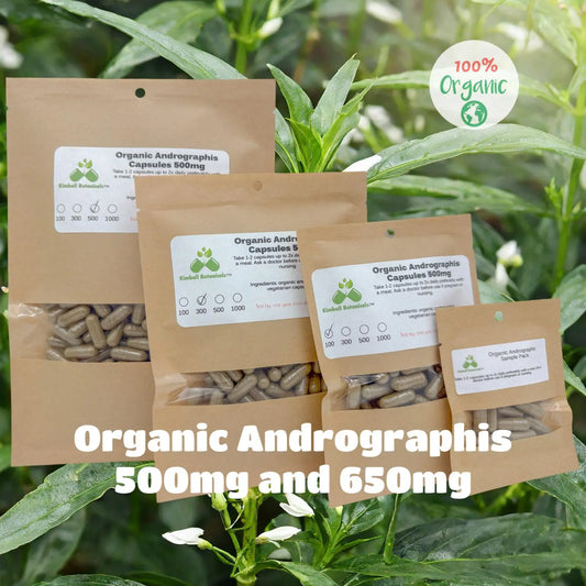 Organic Andrographis 500mg and 650mg vegetarian or pullulan capsules made fresh to order - Kimball Botanicals LLC