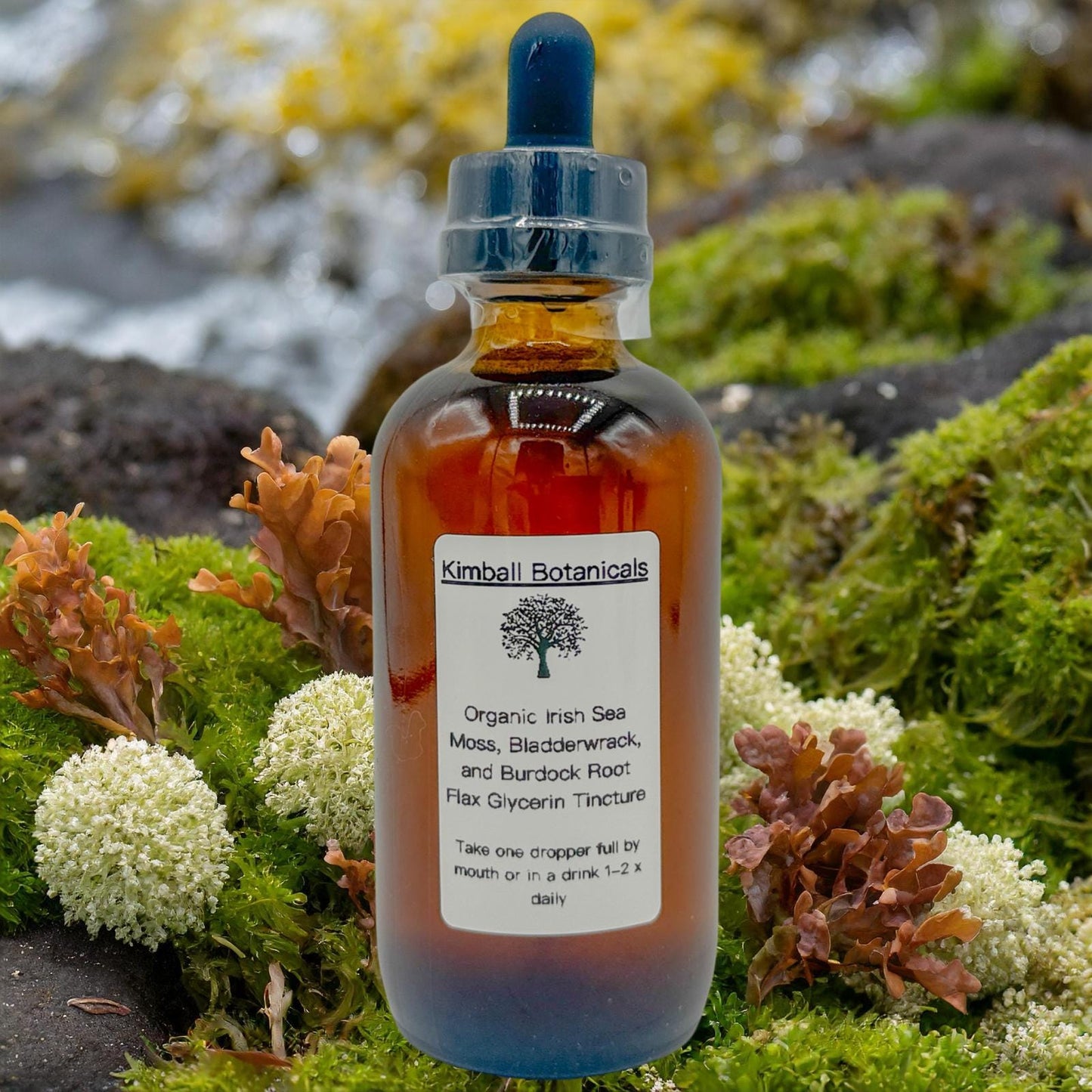 USDA Organic Irish Moss, Bladderwrack, and Burdock Root Double Extracted Glycerin Tincture sustainably harvested NON GMO