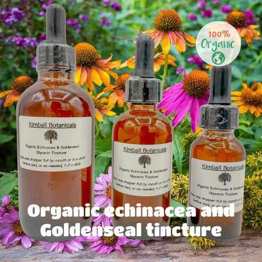 USDA Organic Echinacea Goldenseal Wild Harvested Glycerin Tincture sustainably harvested NON GMO - Kimball Botanicals LLC