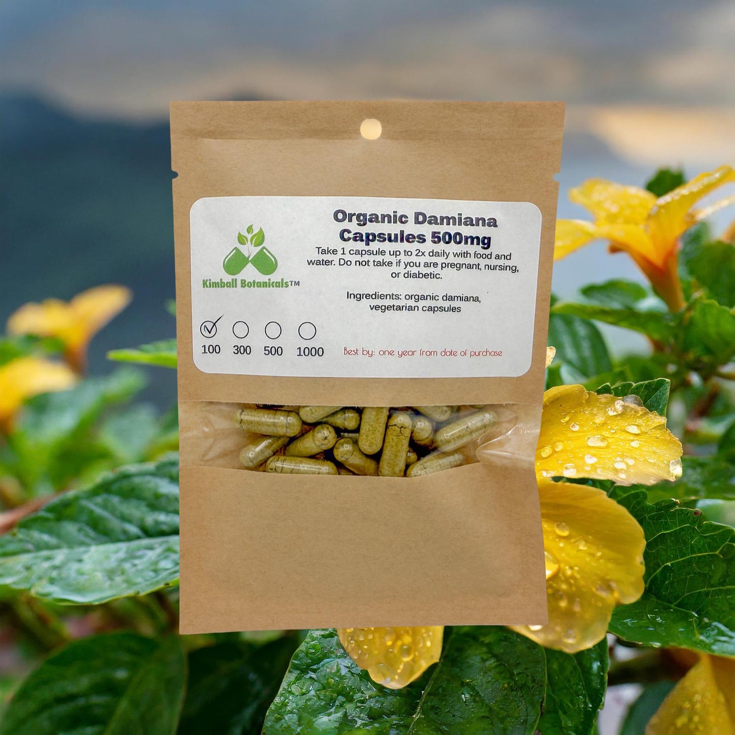 Organic Damiana (Turnera diffusa) 500mg or 650mg vegetarian capsules, made fresh to order, no fillers or binders