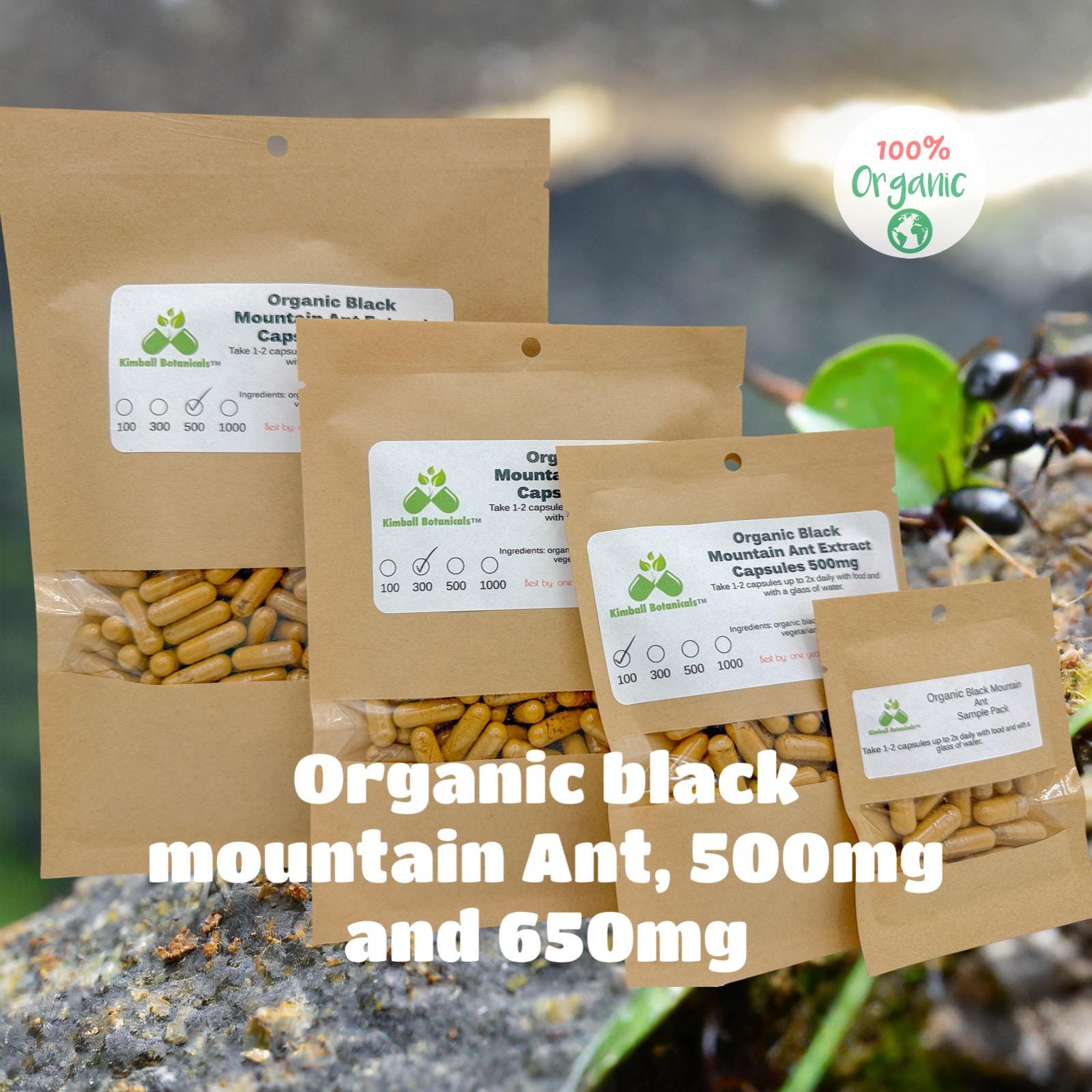 Organic Black Mountain Ant (Polyrhachis lamellidens) 20:1 extract, 500mg vegetarian capsules made fresh to order.