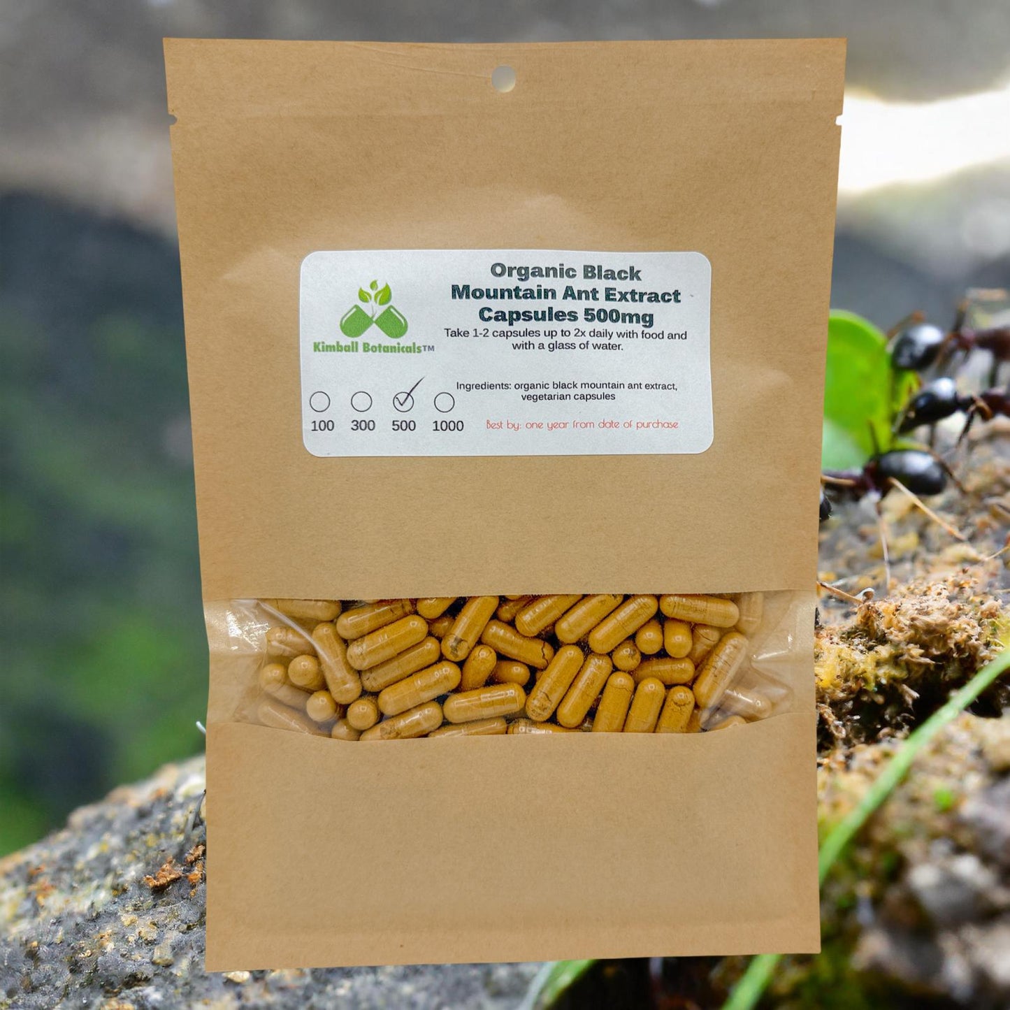 Organic Black Mountain Ant (Polyrhachis lamellidens) 20:1 extract, 500mg vegetarian capsules made fresh to order.