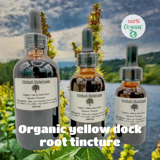 USDA Organic Yellow Dock Root Double Extracted Glycerin Tincture sustainably harvested NON GMO - Kimball Botanicals LLC