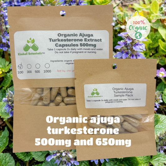 Organic Ajuga Turkesterone Extract 10% 500mg vegetarian capsules made fresh to order.