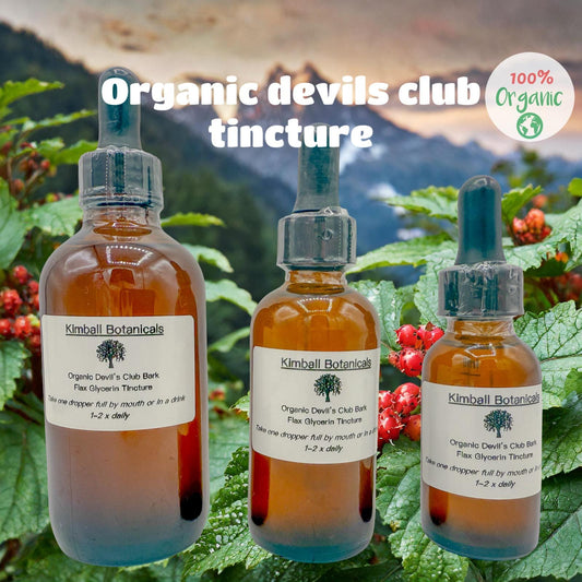Certified Organic Devils Club Glycerin Tincture Double Extracted, sustainably harvested NON GMO
