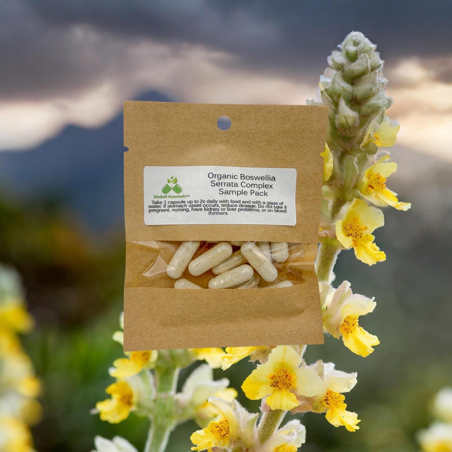 Organic Boswellia Serrata Extract Complex (Indian Frankincense) 65% boswellic acid, 500mg and 650mg vegetarian capsules made fresh to order