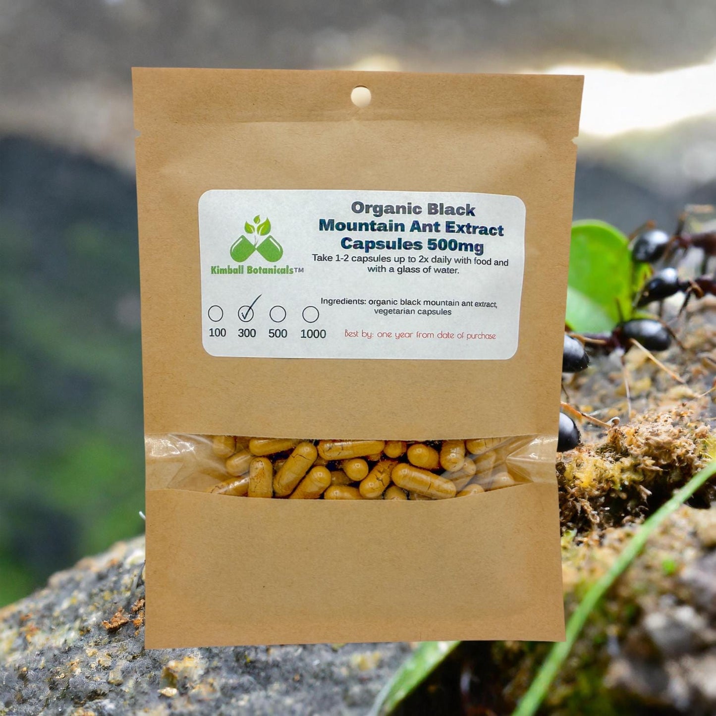 Organic Black Mountain Ant (Polyrhachis lamellidens) 20:1 extract, 500mg vegetarian capsules made fresh to order.
