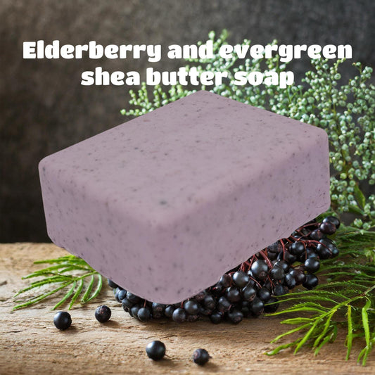 Handmade Herbal Elderberry and Evergreen Shea Butter Soap, 3.2oz bar