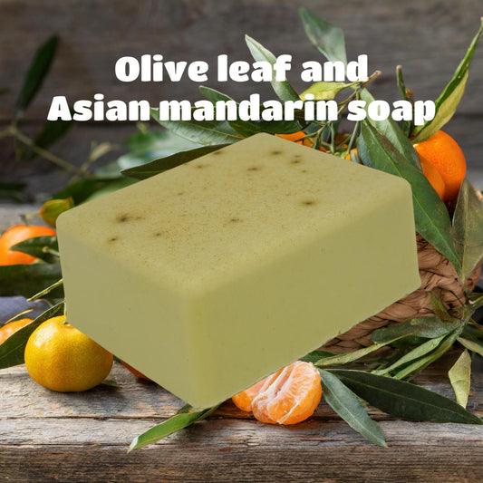 Handmade Olive Leaf and Asian Mandarin Oatmeal Soap, 3.2oz bar
