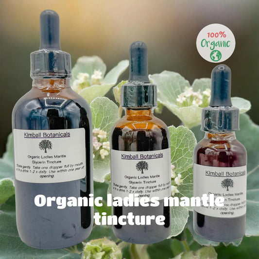 Organic Handcrafted Ladies Mantle (Alchemilla mollis) Liquid Extract Glycerin Tincture Double Extracted NON GMO - Kimball Botanicals LLC