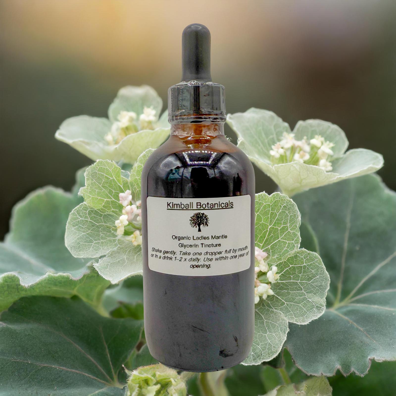 Organic Handcrafted Ladies Mantle (Alchemilla mollis) Liquid Extract Glycerin Tincture Double Extracted NON GMO