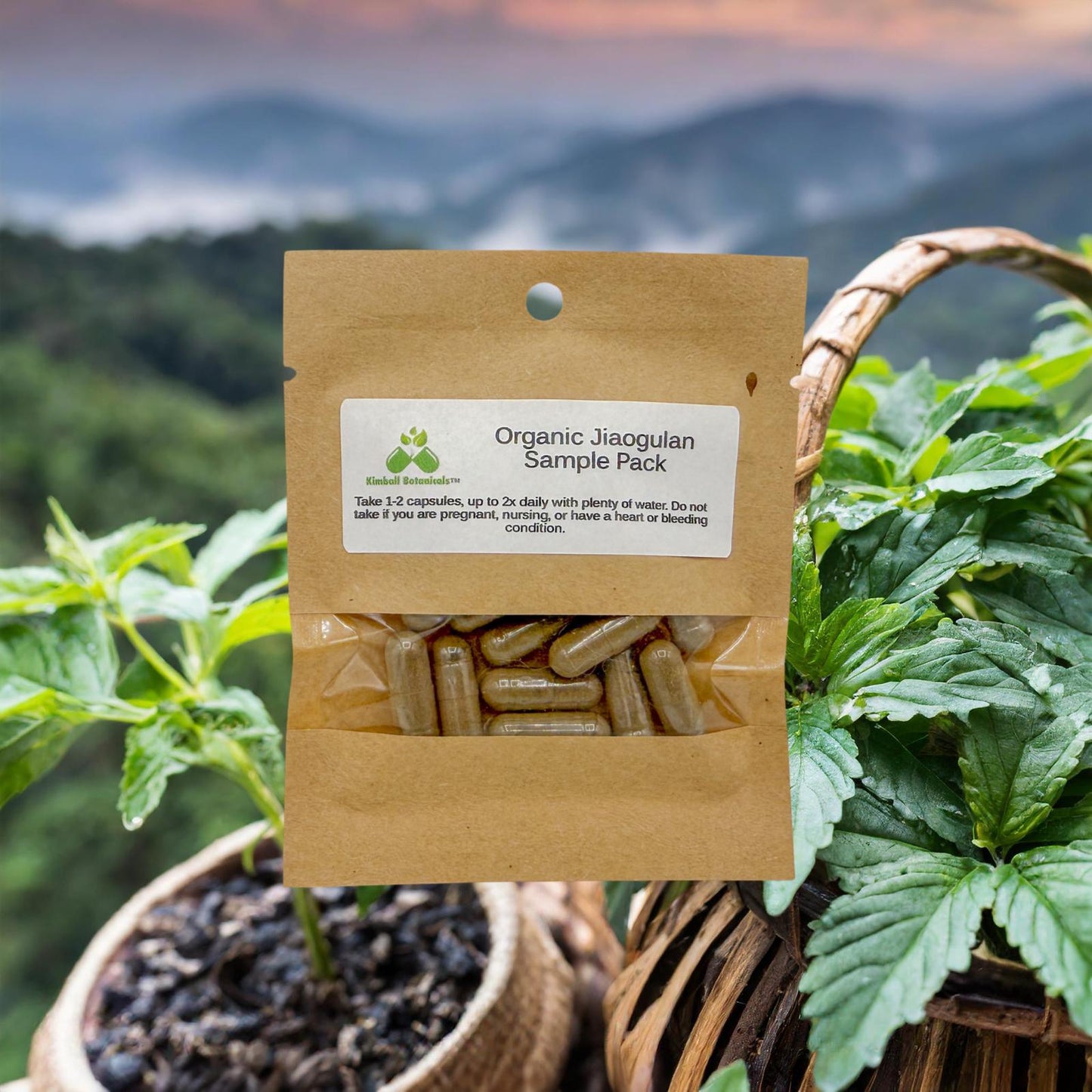 Organic Jiaogulan (Gynostemma pentaphyllum) 500mg and 650mg, vegetarian or pullulan capsules, made fresh to order