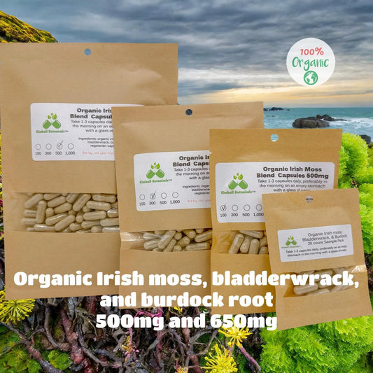 USDA Certified Organic Irish Moss Bladderwrack and Burdock 500mg and 650mg vegetarian or pullulan capsules or tincture, made fresh to order - Kimball Botanicals LLC