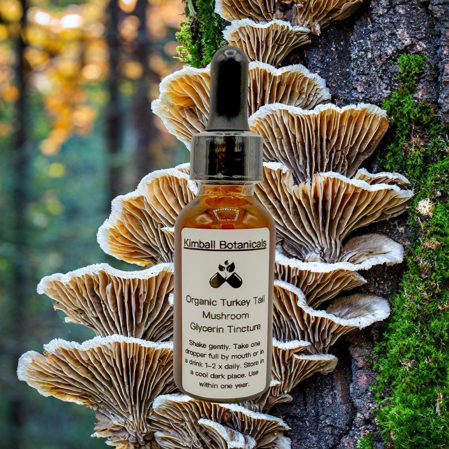 USDA Organic Turkey Tail Mushroom Double Extracted Glycerin Tincture