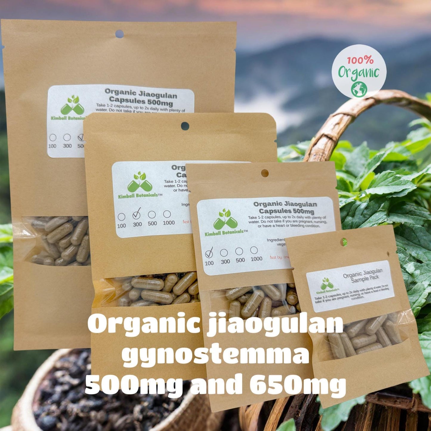 Organic Jiaogulan (Gynostemma pentaphyllum) 500mg and 650mg, vegetarian or pullulan capsules, made fresh to order
