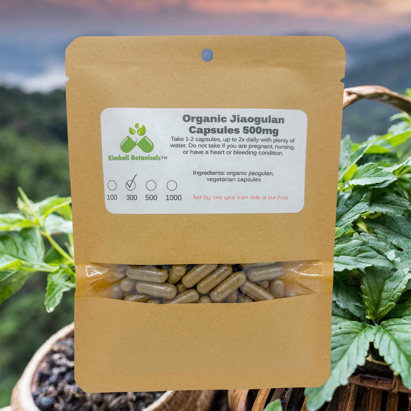 Organic Jiaogulan (Gynostemma pentaphyllum) 500mg and 650mg, vegetarian or pullulan capsules, made fresh to order