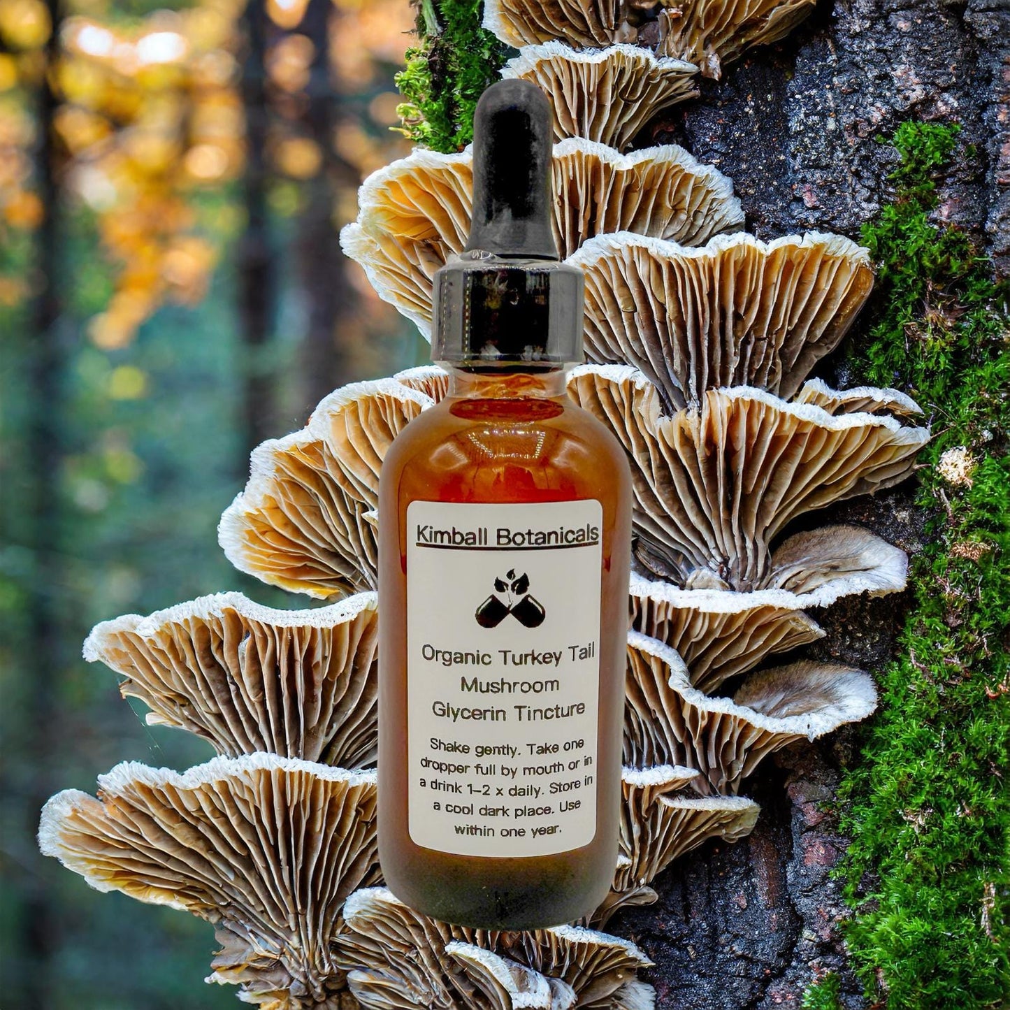 USDA Organic Turkey Tail Mushroom Double Extracted Glycerin Tincture