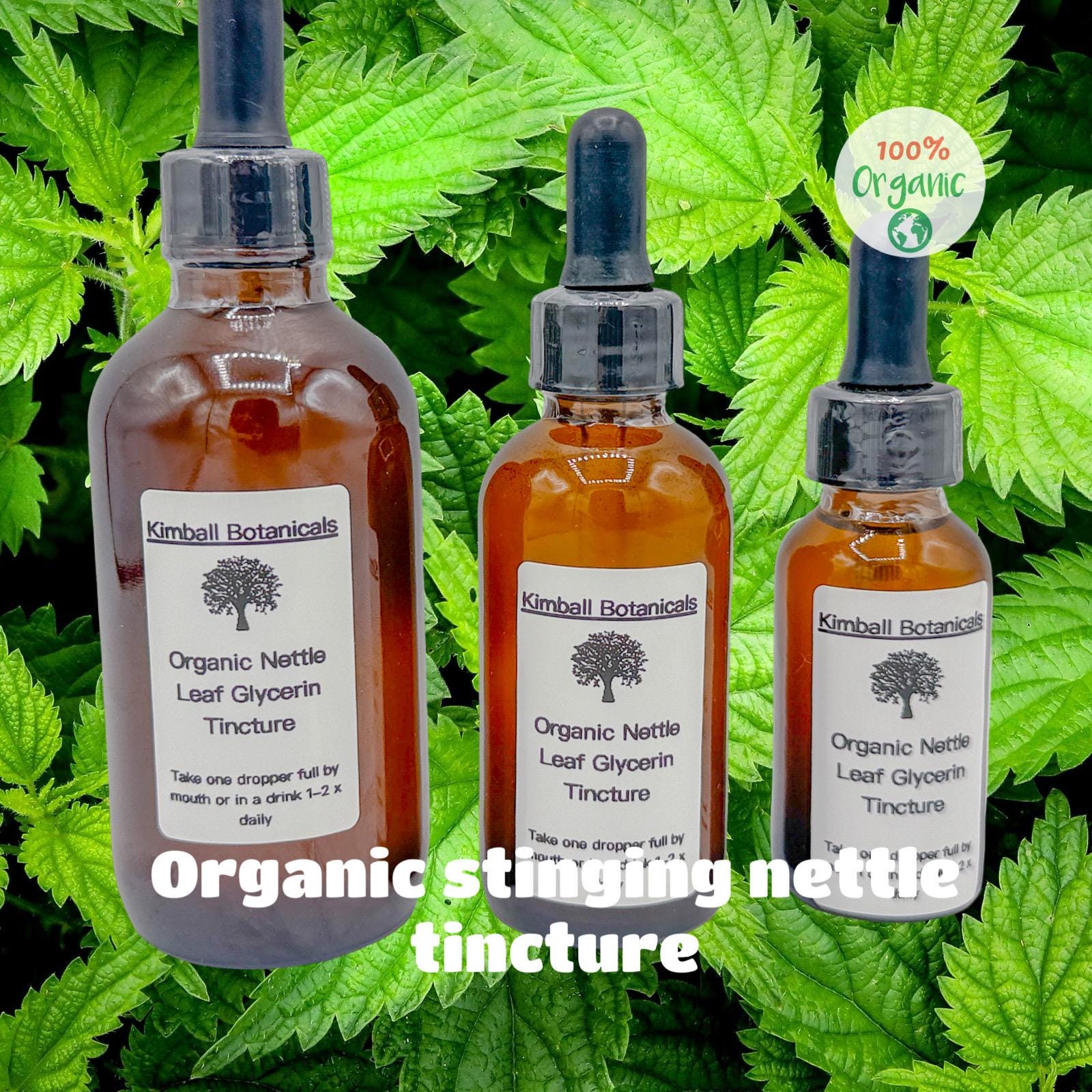 Organic Handcrafted Nettle Leaf Glycerin Tincture Double Extracted sustainably harvested NON GMO