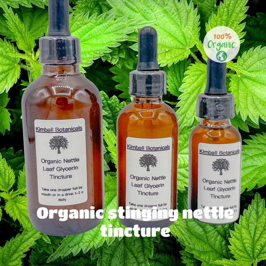 Organic Handcrafted Nettle Leaf Glycerin Tincture Double Extracted sustainably harvested NON GMO