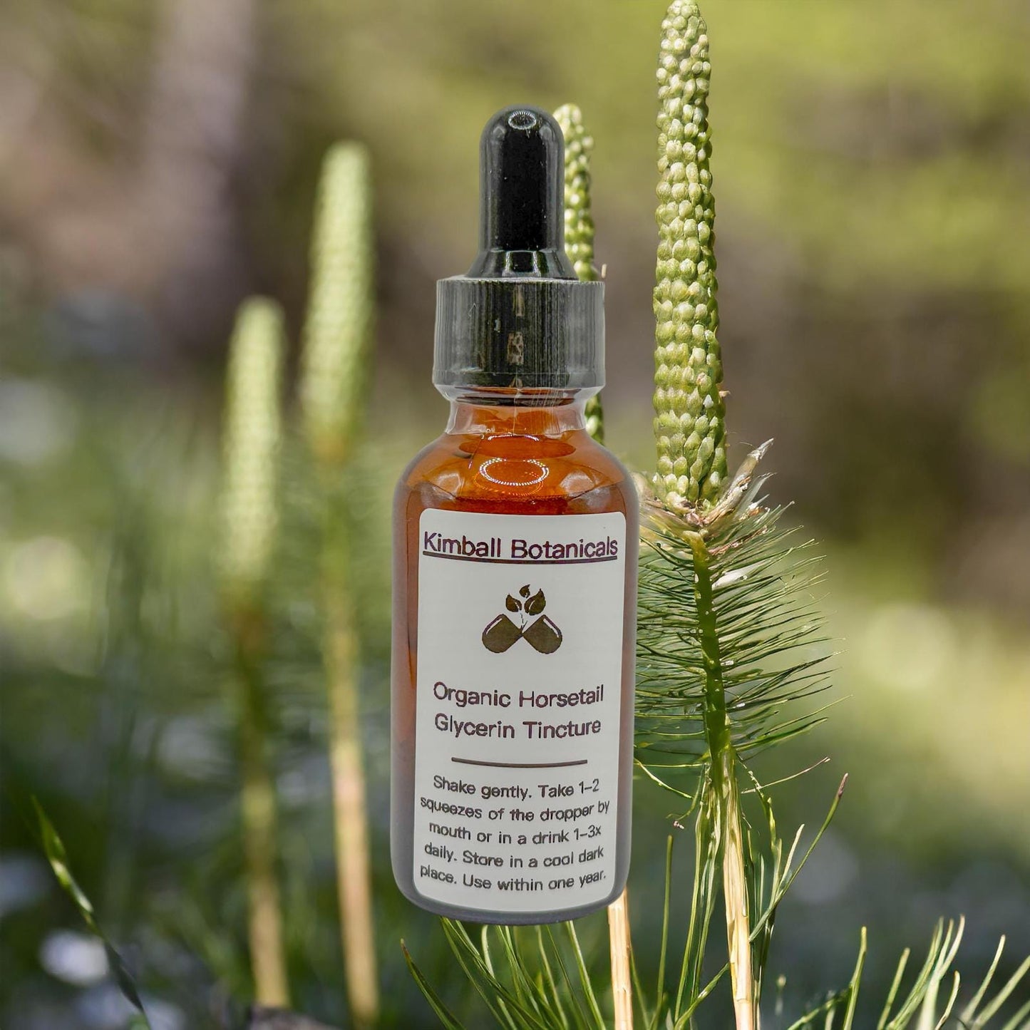 USDA Certified Organic Handcrafted Horsetail Glycerin Tincture double extracted, sustainably harvested NON GMO