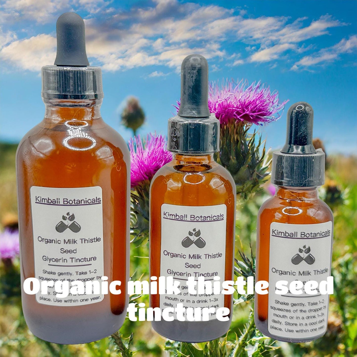 Certified Organic Milk Thistle (Silybum marianum) 500mg and 650mg vegetarian or pullulan capsules made fresh to order