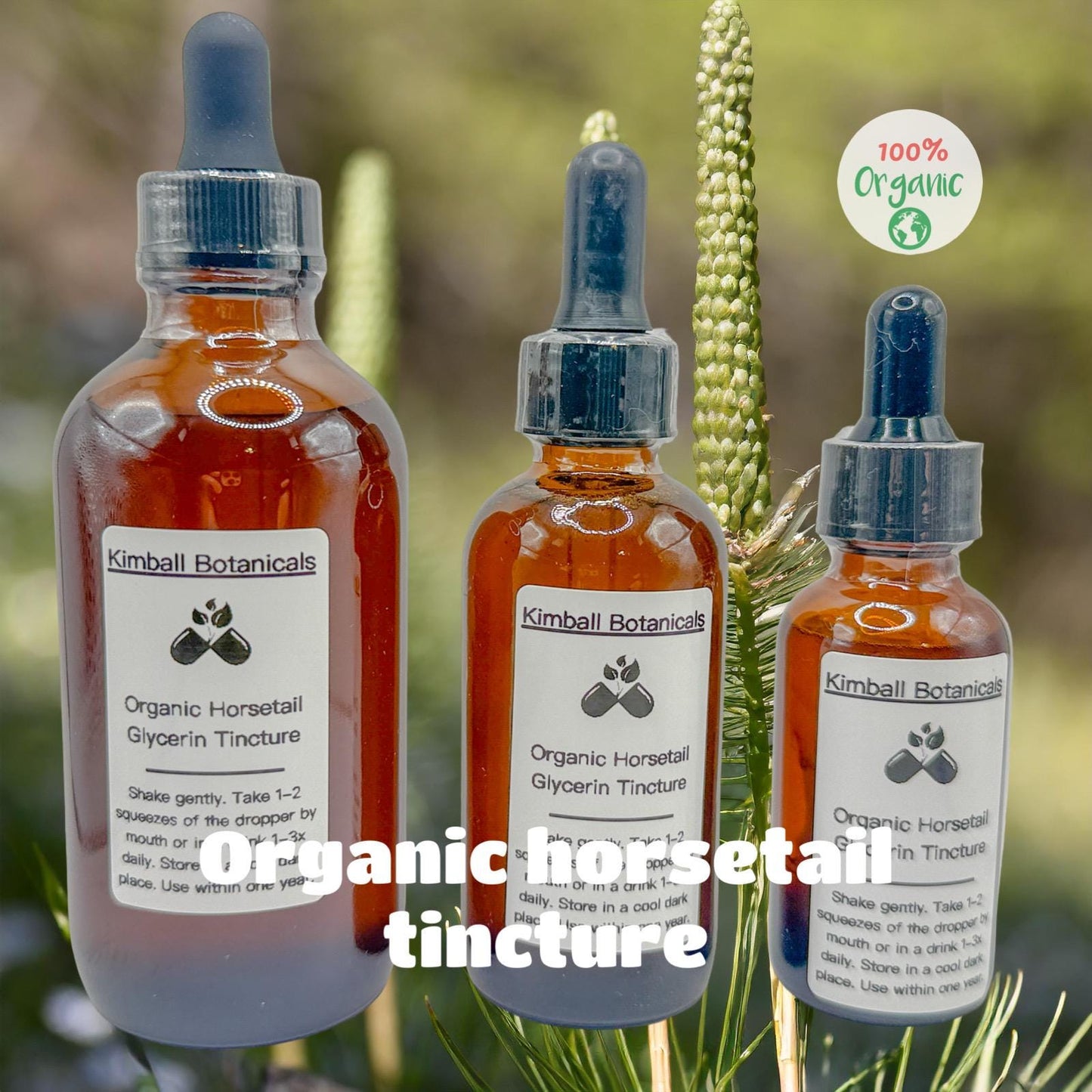 USDA Certified Organic Handcrafted Horsetail Glycerin Tincture double extracted, sustainably harvested NON GMO