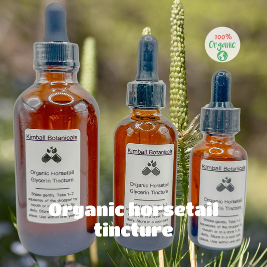 USDA Certified Organic Handcrafted Horsetail Glycerin Tincture double extracted, sustainably harvested NON GMO