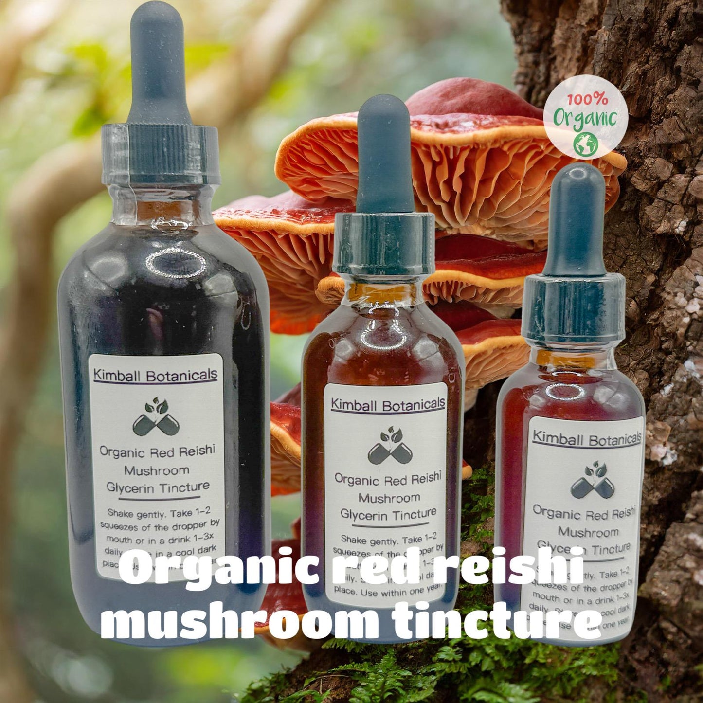 USDA Organic Red Reishi Mushroom Double Extracted Glycerin Tincture