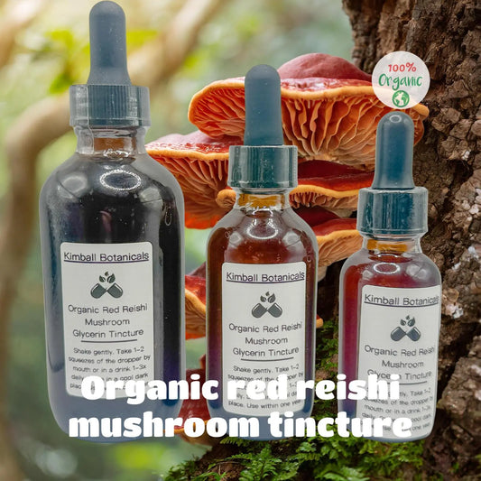 USDA Organic Red Reishi Mushroom Double Extracted Glycerin Tincture - Kimball Botanicals LLC